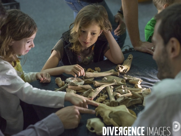 Journées nationales de l archéologie au musée gallo-romain de Lyon