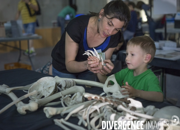 Journées nationales de l archéologie au musée gallo-romain de Lyon