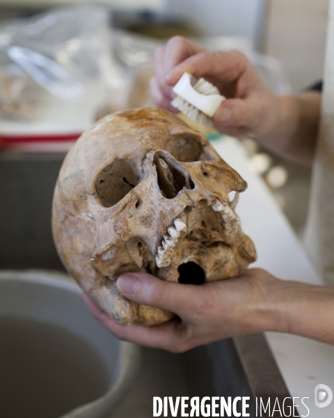 Archéologue en post-fouille, nettoyage d ossements humains.