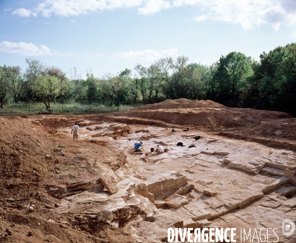 Fouilles archéologiques sur une ancienne carrière à Saint-Jean de Vedas