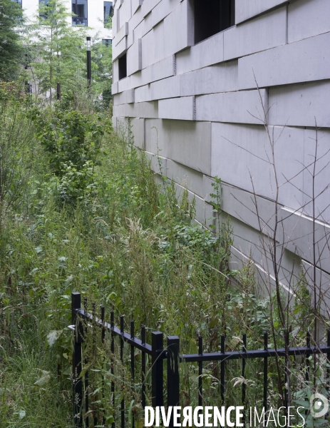 Réalisation architecturale innovante d un groupe scolaire à Boulogne-Billancourt