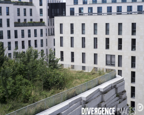 Réalisation architecturale innovante d un groupe scolaire à Boulogne-Billancourt