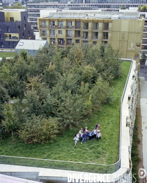 Réalisation architecturale innovante d un groupe scolaire à Boulogne-Billancourt