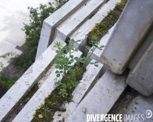 Réalisation architecturale innovante d un groupe scolaire à Boulogne-Billancourt