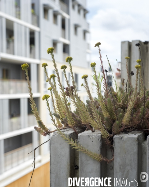 Réalisation architecturale innovante d un groupe scolaire à Boulogne-Billancourt