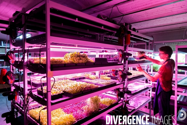 Bienvenue à la ferme verticale et urbaine !