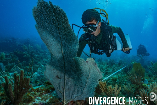 Etat des lieux sous-marin opéré par les plongeurs du Parc Naturel marin de St-Martin, Franck et Julien