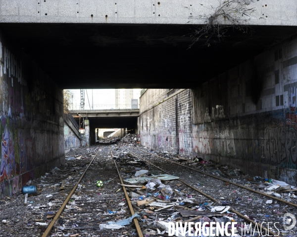 Petite ceinture, Porte de la Chapelle, après l évacuation du bidonville roumain