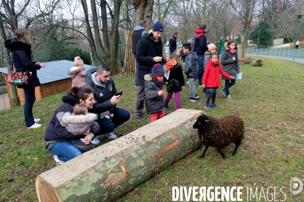 Premiere ferme urbaine pedagogique au parc Kellermann