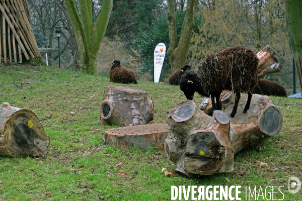 Premiere ferme urbaine pedagogique au parc Kellermann