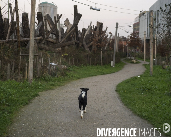 La Forêt Linéaire, Paris 19e