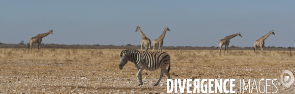 Namibie