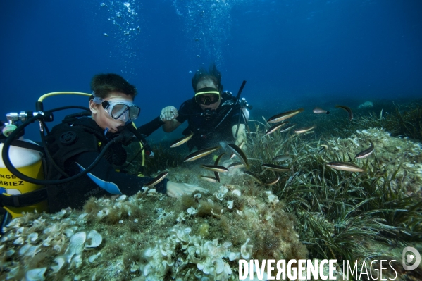 Initiation d un enfant à la plongée sous-marine