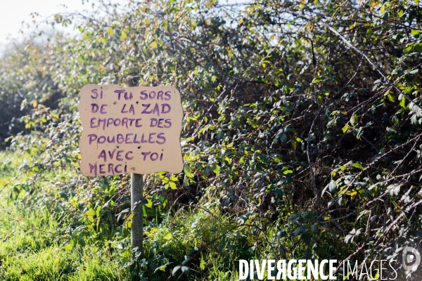 Jour de gloire sur la ZAD de Notre Dame des Landes