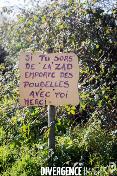 Jour de gloire sur la ZAD de Notre Dame des Landes