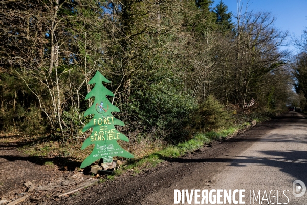 Jour de gloire sur la ZAD de Notre Dame des Landes