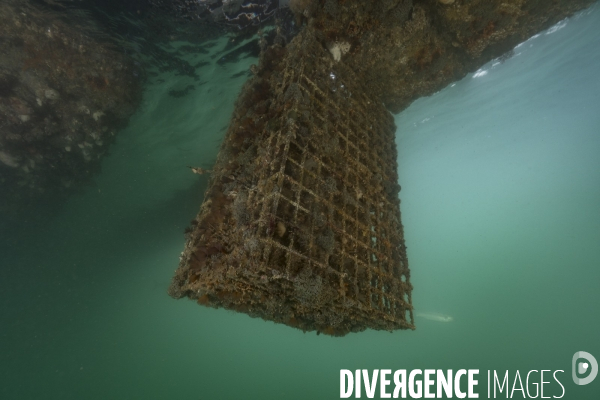 Hutte de biodiversité dans le port de Nador au maroc