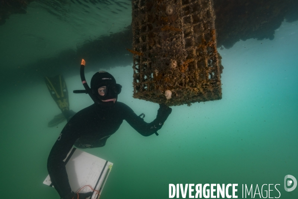 Hutte de biodiversité dans le port de Nador au maroc