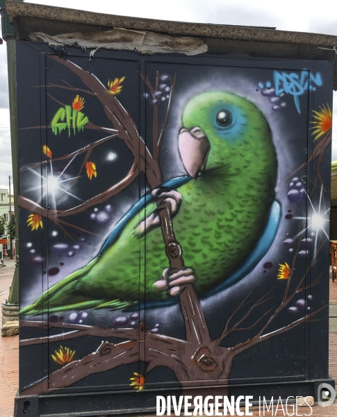 Bogota capitale du street art
