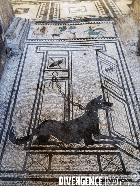 Pompei et Herculanum, deux villes détruites par l éruption de Vésuve en 79 après JC.