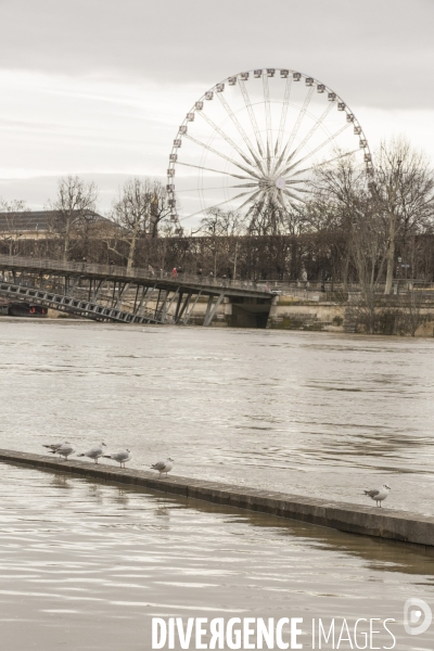 La seine en crue a paris