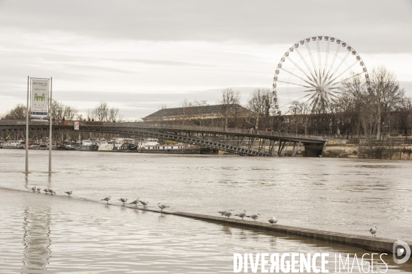 La seine en crue a paris