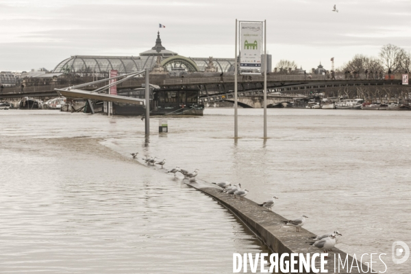 La seine en crue a paris