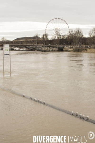 La seine en crue a paris