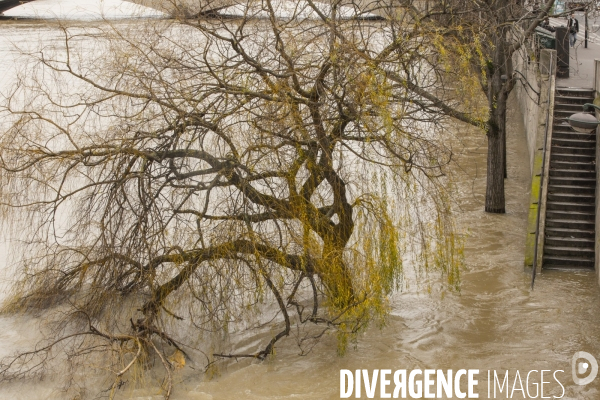 La seine en crue a paris