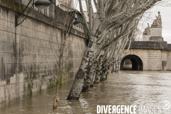 La seine en crue a paris