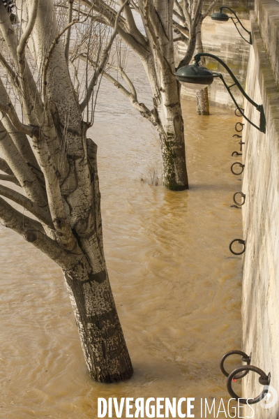 La seine en crue a paris