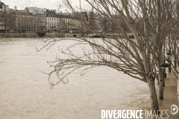 La seine en crue a paris