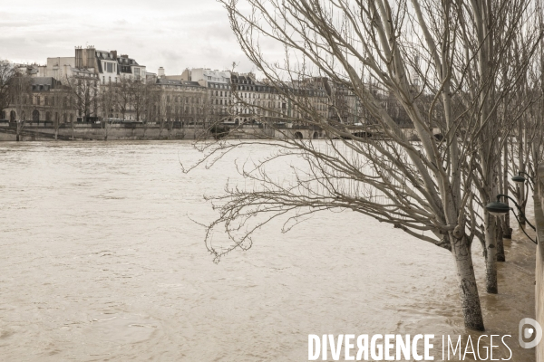 La seine en crue a paris