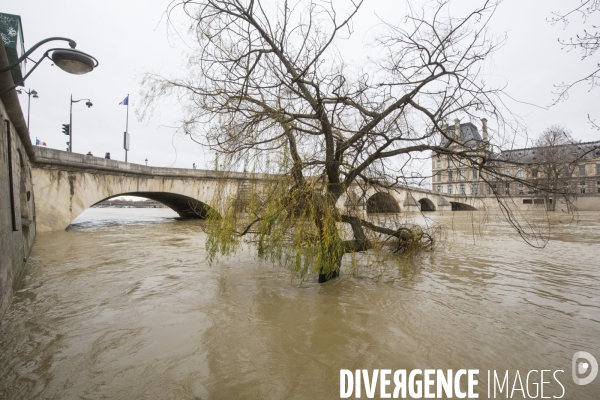 La seine en crue a paris