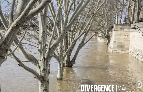 La seine en crue a paris