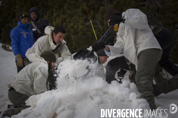 Exercice avalanche