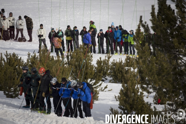Exercice avalanche