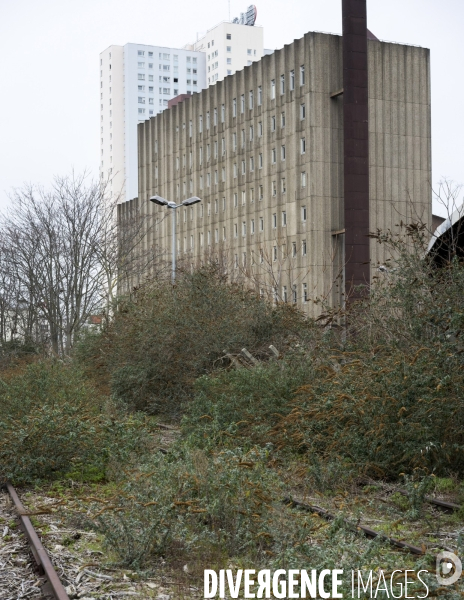 Friche urbaine , rue de l Evangile, Paris Nord