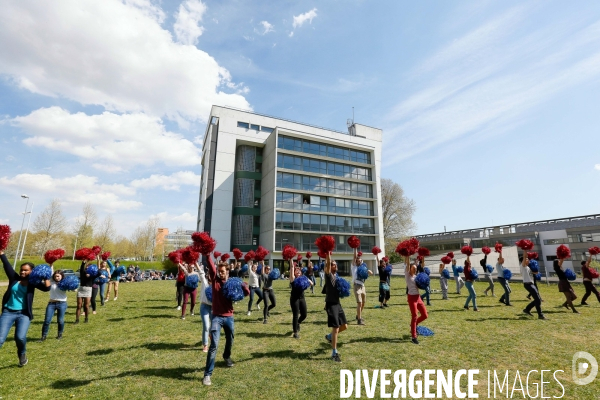 Ecole européenne de chimie, polymères et matériaux de Strasbourg ( ECPM )