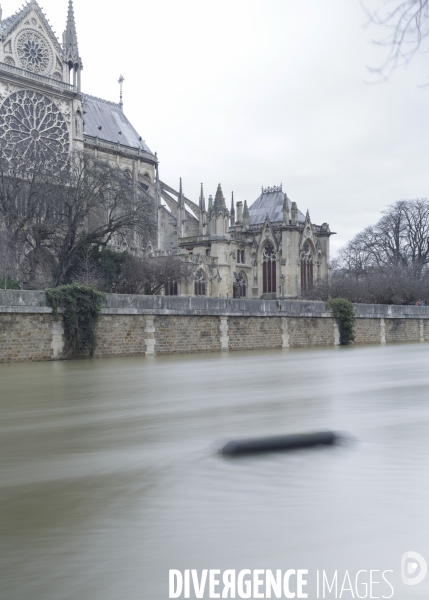 Une évocation de la crue de la Seine à Paris, janvier 2018.