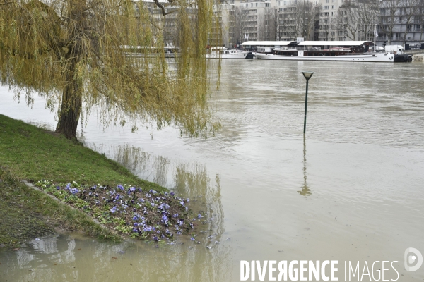 La Seine en crue à Paris. Seine flooded in Paris.