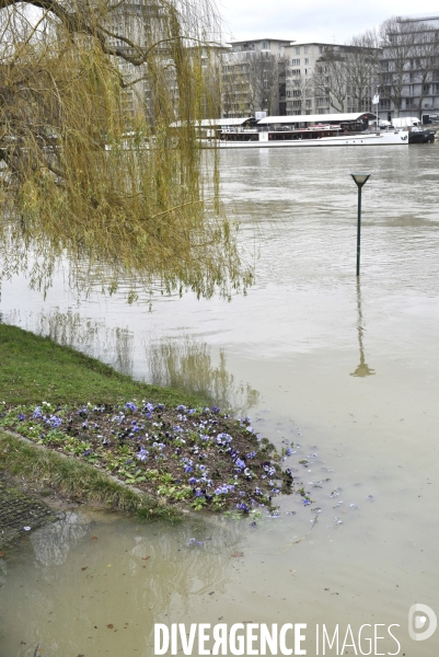 La Seine en crue à Paris. Seine flooded in Paris.