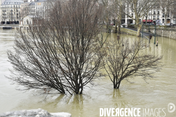 La Seine en crue à Paris. Seine flooded in Paris.