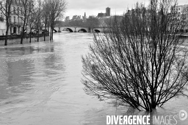 La Seine en crue à Paris. Seine flooded in Paris.