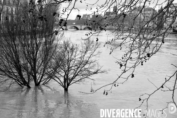 La Seine en crue à Paris. Seine flooded in Paris.