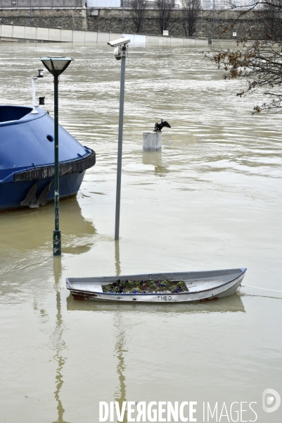 La Seine en crue à Paris. Seine flooded in Paris.