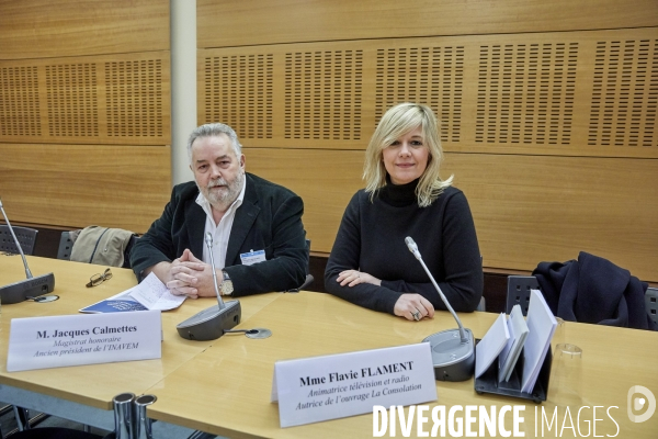 Audition sur le viol Assemblée Nationale