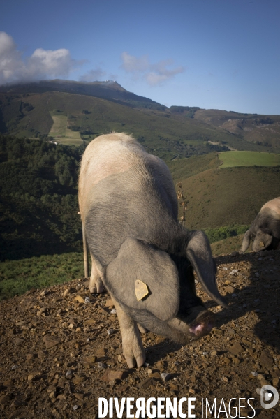 Pays Basque : La Rhune