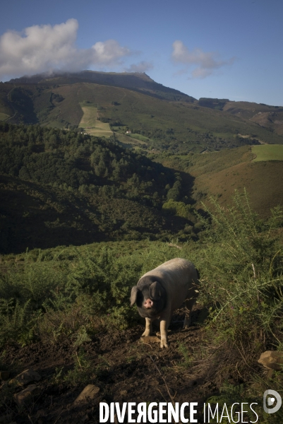 Pays Basque : La Rhune