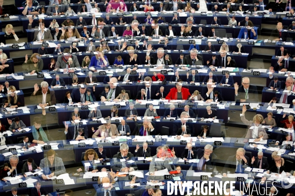 Votes au Parlement européen de Strasbourg